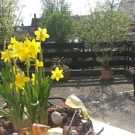 Apartmán Eulennest-Lu Ludwigshafen am Rhein Exteriér fotografie